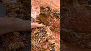 Stunning opal find, that is beautiful #nature #agate #crystals #gemstones #naturalamethyst #opal