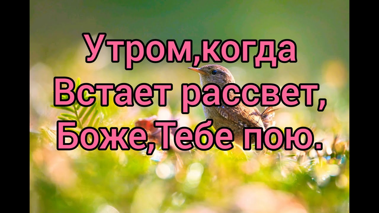 Песня встает рассвет. Утром когда встает рассвет. Когда встал на рассвете. Христианская песня встаёт рассвет. Песня просыпайся рассвет.