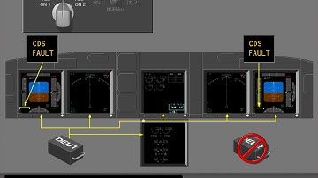 4   DEUs and Display Source Selector
