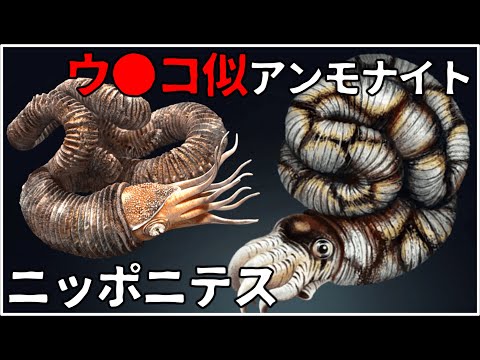 ゆっくり解説】ウ○コと言われた異常巻きアンモナイト ニッポニテス
