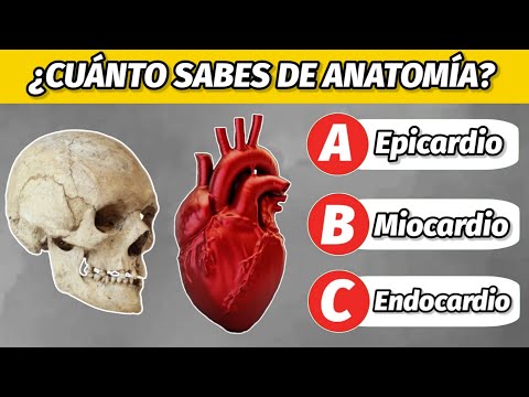 ¡Reto Anatómico de