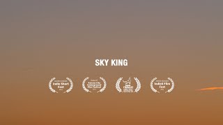 SKY KING screenshot 5