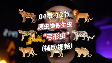 04章12节 “原虫类”寄生虫（辅助视频）