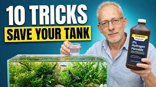 10 Simple Tricks That Will Save Your Fish Tank