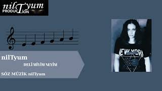 nilTyum DELİ MİYİM NEYİM