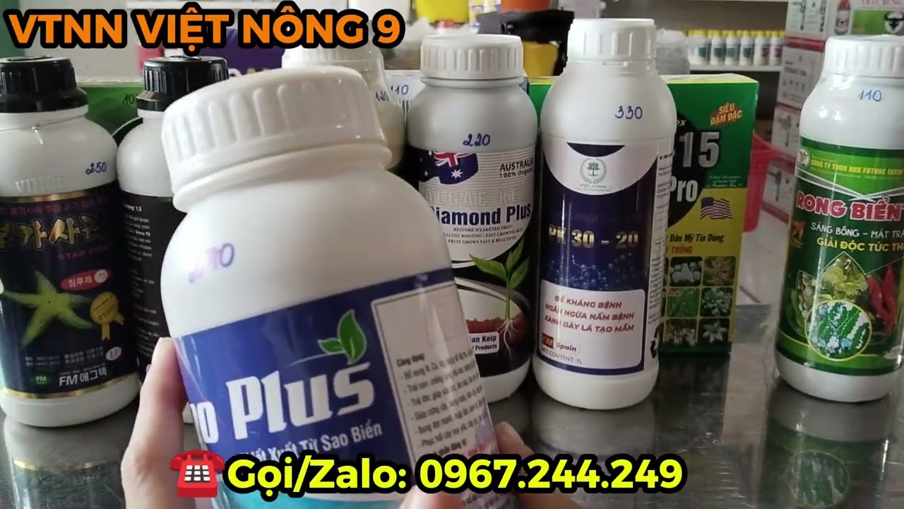 Lá không xanh, lá mỏng? Giải pháp giúp DƯỠNG LÁ XANH DÀY - CÂY KHOẺ