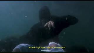 Mateca - obrigado Senhor “Para status / Letra legendado