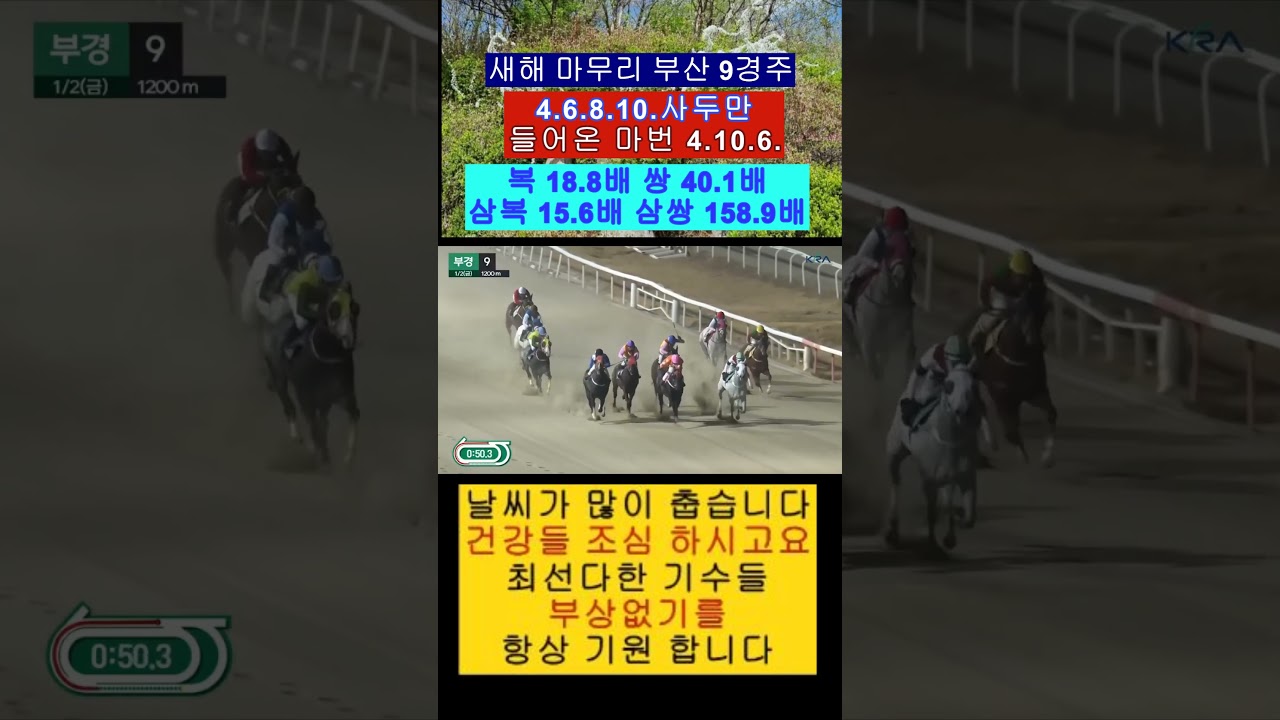 생각보다 적게나와 아쉽네요 멋진 추입 영상보기