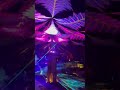 Shpongle прилетел в Тайланд 2024