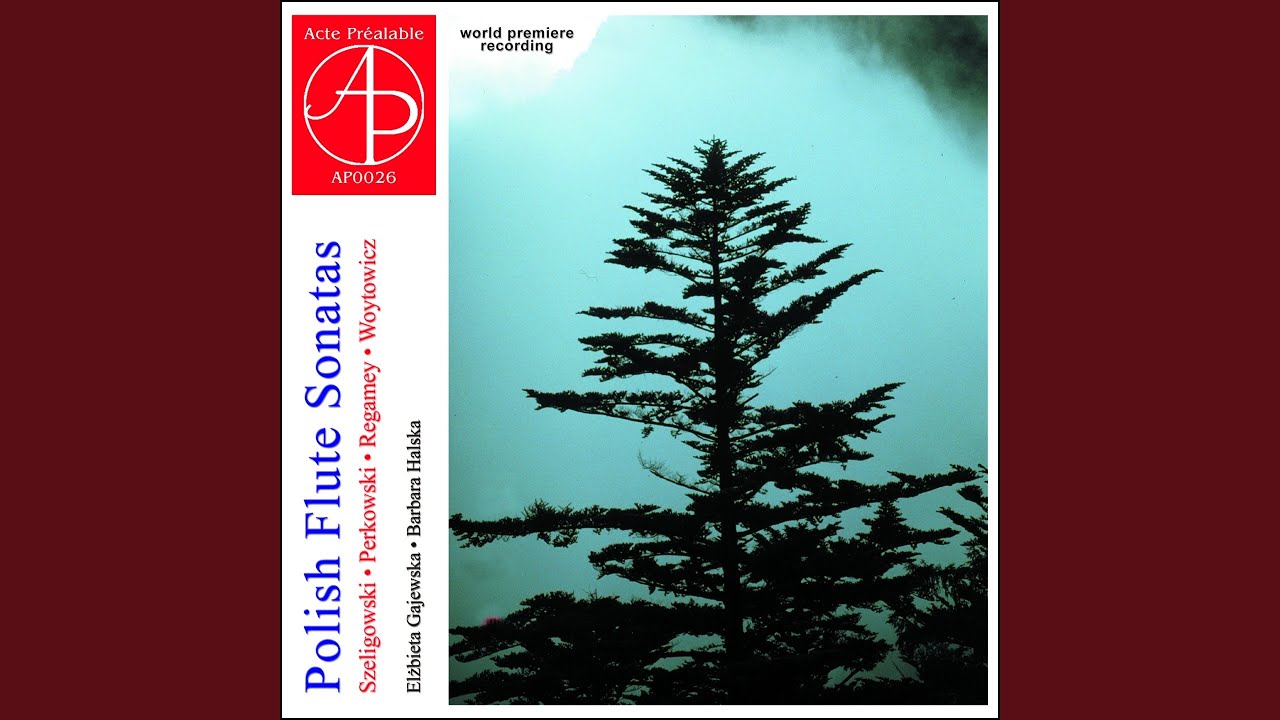 Guarda Sonatina for Flute and Piano: III. Allegro su YouTube