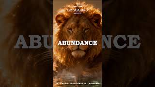 The Gateway to Abundance Deep Prophetic Flow for Spiritual Prosperity and Open Heavens #piano #pray
