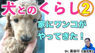 【犬のしつけ】第2弾！！ 子犬の成長を見ながら、犬との暮らし方やしつけ方法についてお話しして行く内容です。