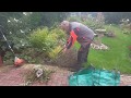 New customer garden / yard tidy using the garden waste