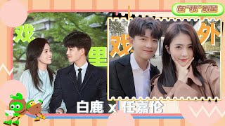 【Allen Ren x Bai Lu】BTS is So Funny with Zhousheng Chen and Shi Yi🤣| Forever and Ever | 一生一世 | iQIYI