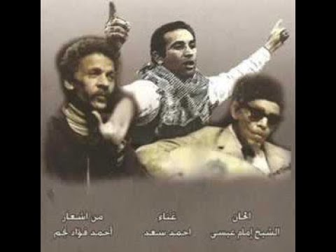 بقرة حاحا احمد سعد