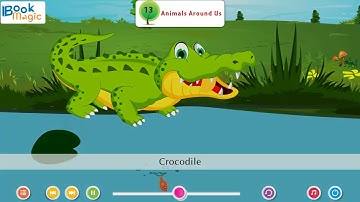 Ch 13 | Book Magic | EVS | Class 1 | Animals Around Us | For children