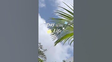 Day in my Life💌  #shorts #minivlog #explore #food #weeklyvlog #subscribers #dayinmylife #asmr #fyp