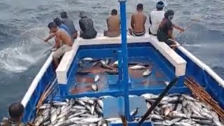 asik mancing ikan cakalan tiba tiba ada HIU besar disamping kapal#chop #fish