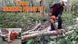Uji Ketangkasan senso / Chainsaw YAMAMAX PRO GX58 BAR22