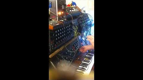 Minimoog, Moog 1125, Bode and MF104M delay #1...