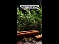 ¡El secreto natural para tu bienestar! Romero, canela y clavo.