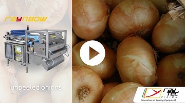 Raynbow sorting machine for unpeeled onions | Raytec Vision