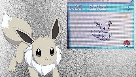 LIVE Reaction Shiny Eevee in FireRed after 901 soft resets