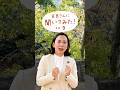 吉良さんに聞いてみた！ その9　日本共産党のいいところ、好きなところは？