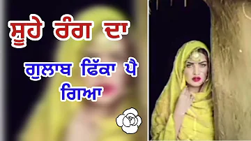 hor kive pawan chitiya _ Rani Randeep lyrics song @youtubevideo1mzone