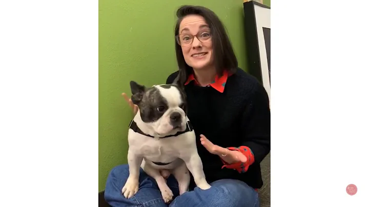 #youareOCT: Lead Teaching Artist Stephanie Cordell