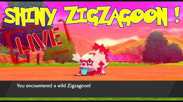 LIVE SHINY GALARIAN ZIGZAGOON AFTER ONLY 99 ENCOUNTERS!