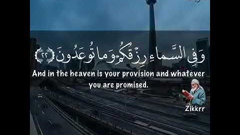 و فى أنفسكم أفلا تبصرون ): قرآن كريم _ احمد العجمى / حالات واتس♥️🌍