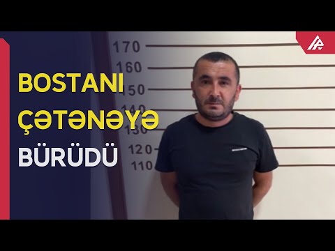 Bostanda çətənə yetişdirən keçmiş məhkumu tutdular – APA TV