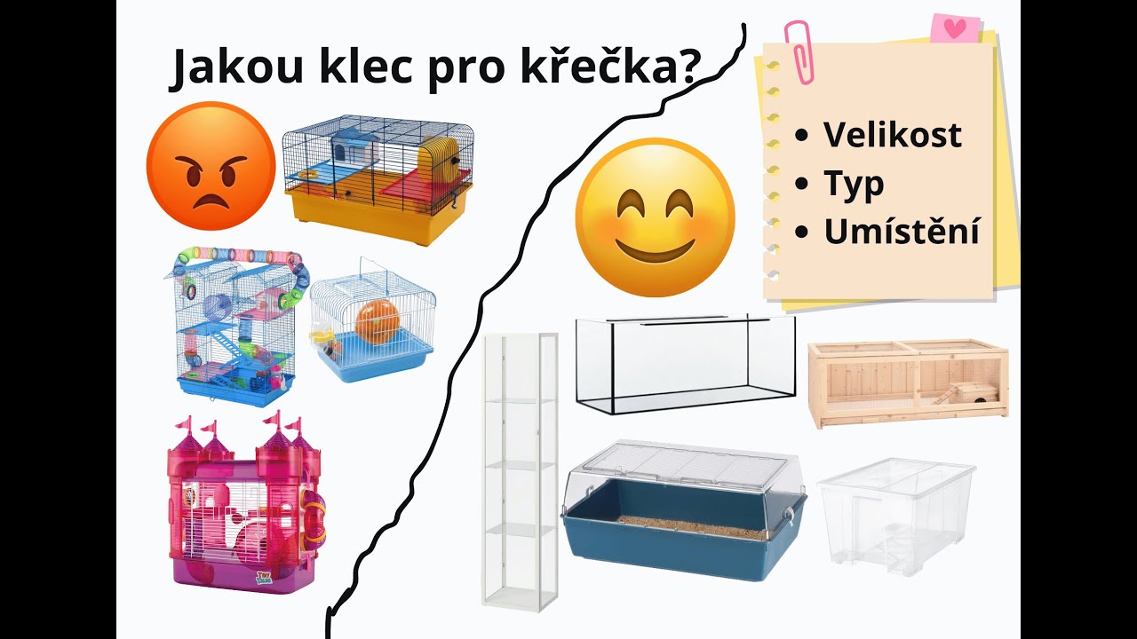 Jak vybrat ubikaci pro křečka?
