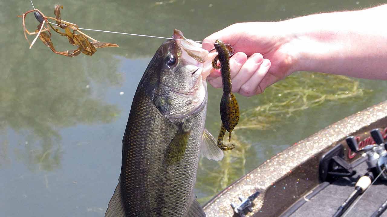 Straight Shank Vs. Wide Gap For Texas Rigging - Fishing Tackle