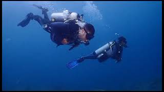 Diving di Selayar