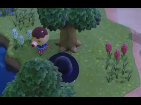 Villager Hunting Animal Crossing