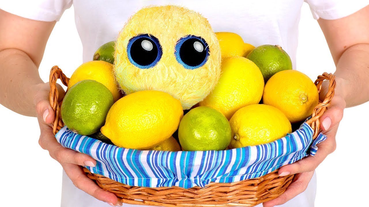 d’une peluche Scruff-A-Luvs : Le Lapin Fleuri En Édition Limitée | Humeur Printanière