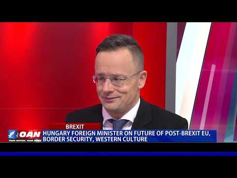 Hungary's Foreign Minister discusses future of post-Brexit EU, border security