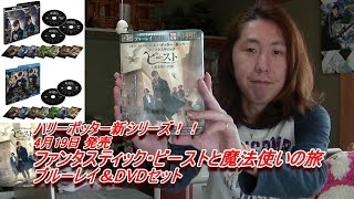 ファンタスティック・ビーストと魔法使いの旅 Blu-ray & DVDセットがやってきた☆