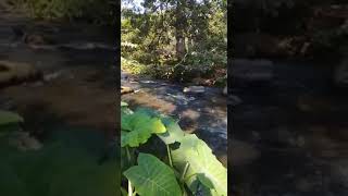 2da parte conociendo el río agua tibia Aldea el jocotillo Villa canales Guatemala Wealth