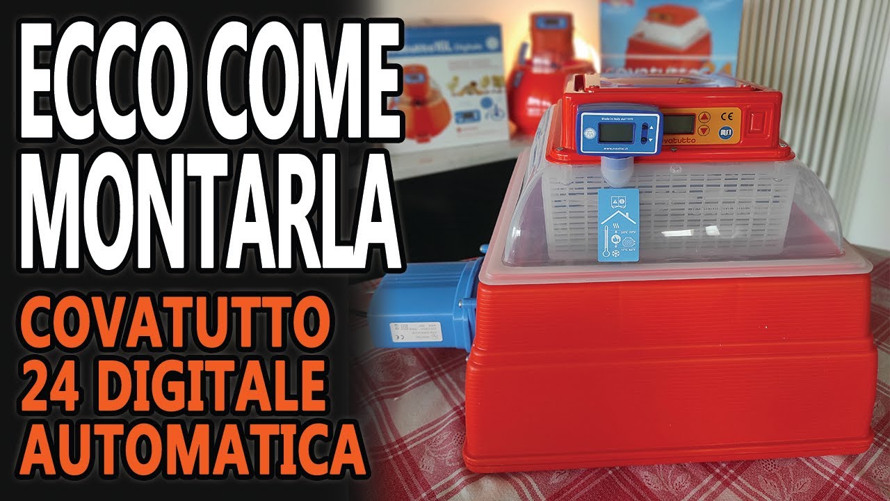 COME INCUBARE UOVA DI GALLINA MONTARE L' INCUBATRICE YouTube COME INCUBARE UOVA DI GALLINA MONTARE L' INCUBATRICE YouTube