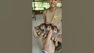 THE BENTONG FARM SIMPLY AWESOME!