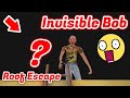 Bob is invisible | the twins