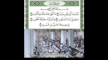 سورة المسد قراءة الشيخ عبدالمحسن القاسم