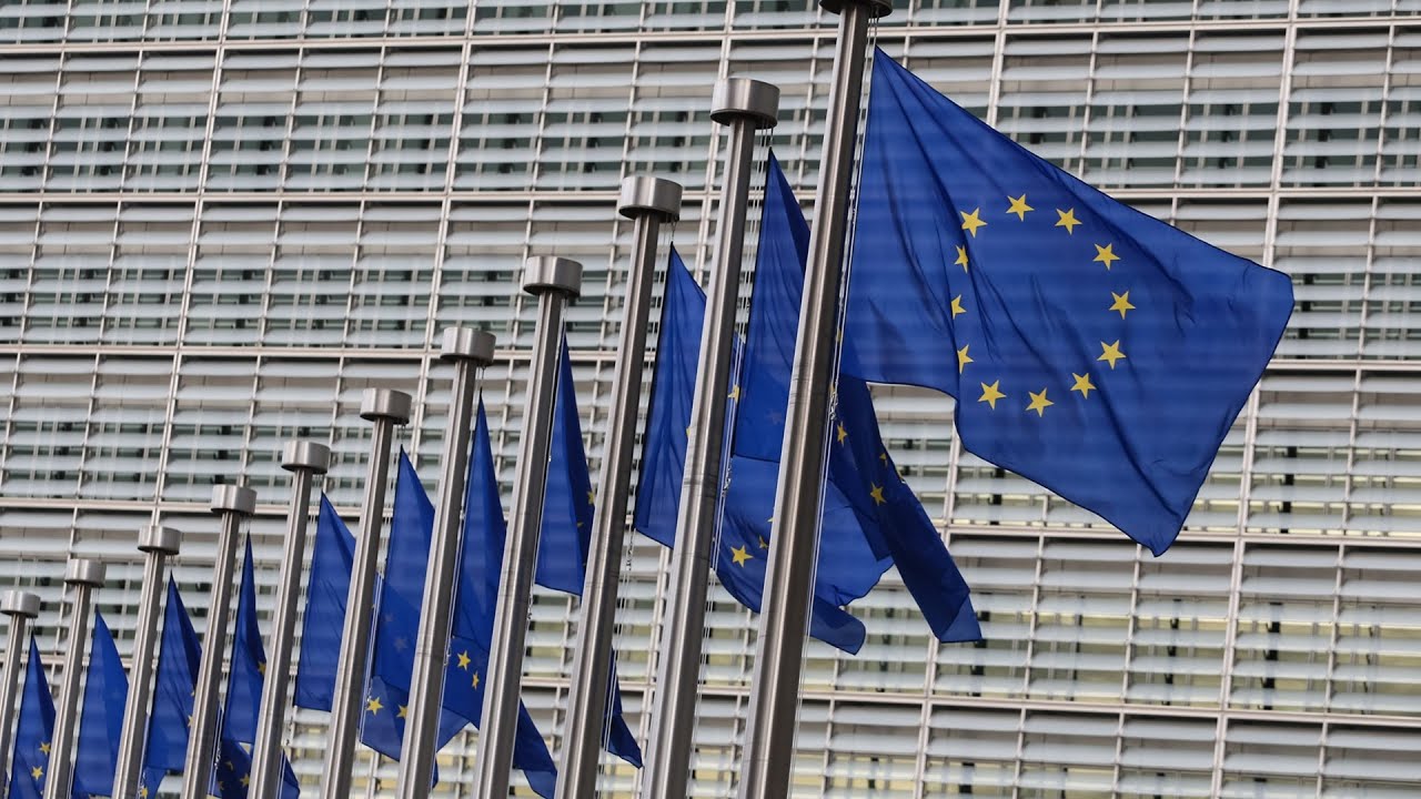 Польша доказала неправоту ЕС в вопросе миграции: элита ЕС разоблачена. Правда о пограничном кризи...