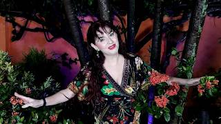 7 filmoj de Muzikejo