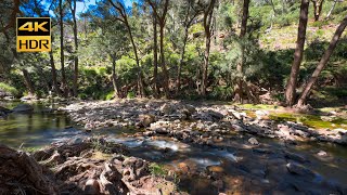 Serenity now, on the Turon River | 4K HDR 60fps Binaural audio, no loop