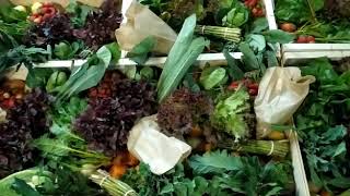 Cabazes biológicos da Quinta de Louredo