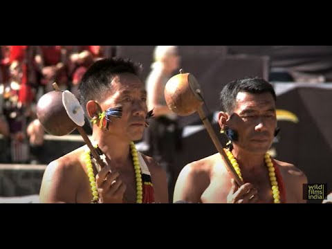 Tati   Naga traditional musical instrument